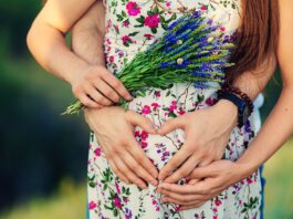 Herbal Remedies for Boosting Fertility