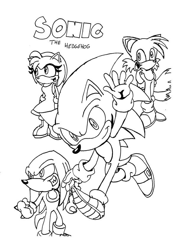 sonic and team 